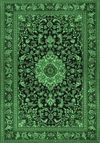 Medallion Emerald Green Traditional Rug, tr1717emgrn