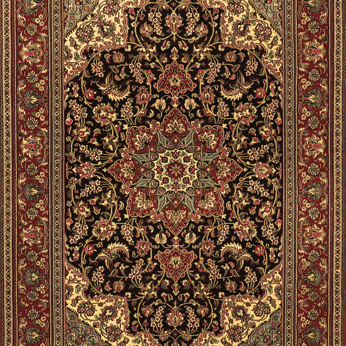 Medallion Brown Traditional Rug, tr1718brn