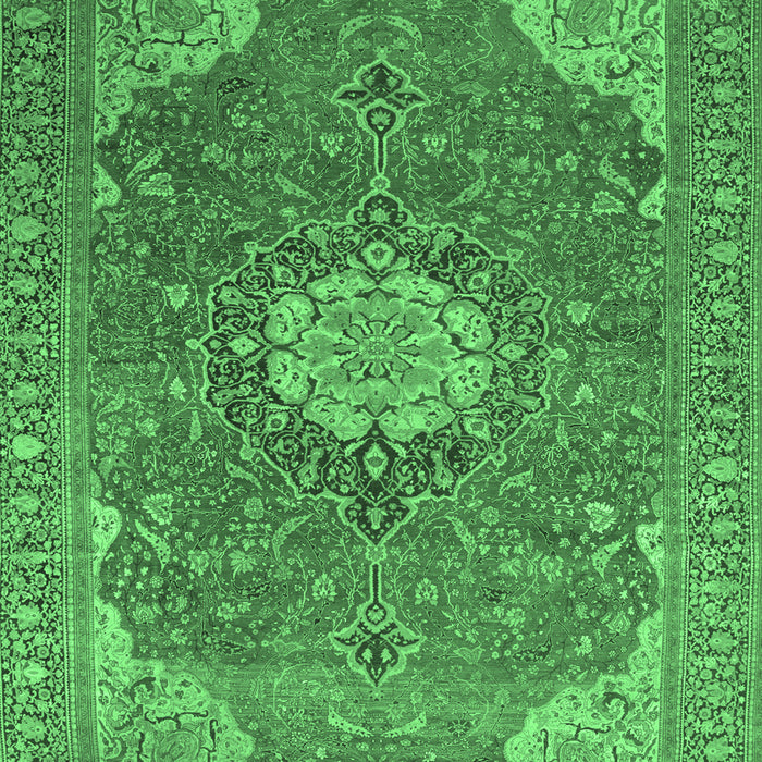 Medallion Emerald Green Traditional Rug, tr171emgrn