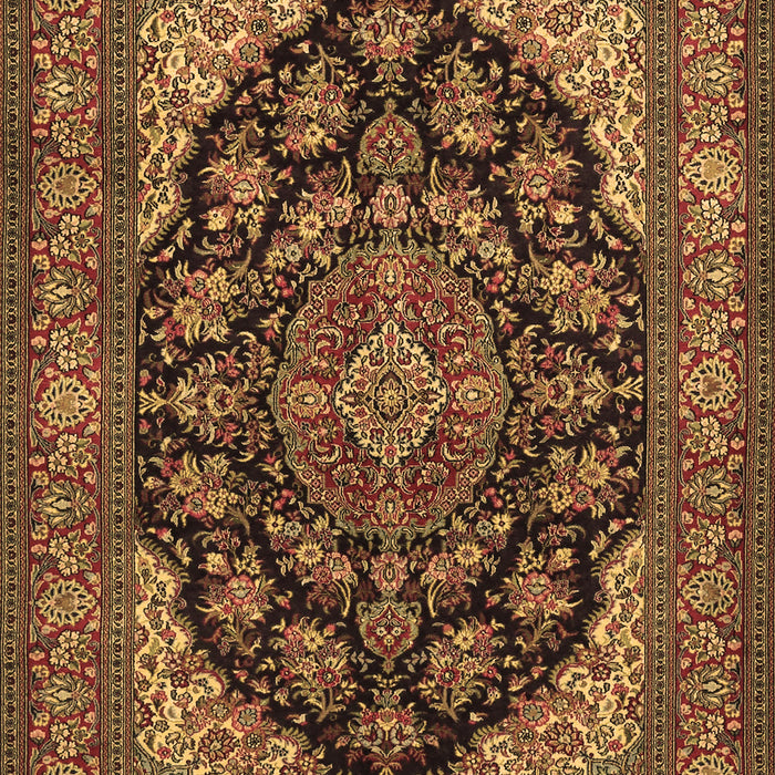 Medallion Brown Traditional Rug, tr1721brn