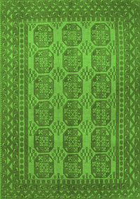 Persian Green Traditional Rug, tr1724grn