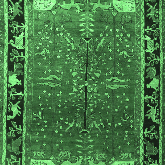 Machine Washable Animal Emerald Green Traditional Area Rugs, wshtr172emgrn