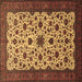 Square Persian Brown Traditional Rug, tr1749brn