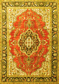 Medallion Yellow Traditional Rug, tr174yw