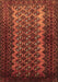 Machine Washable Southwestern Brown Country Rug, wshtr1763brn