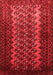 Southwestern Red Country Area Rugs