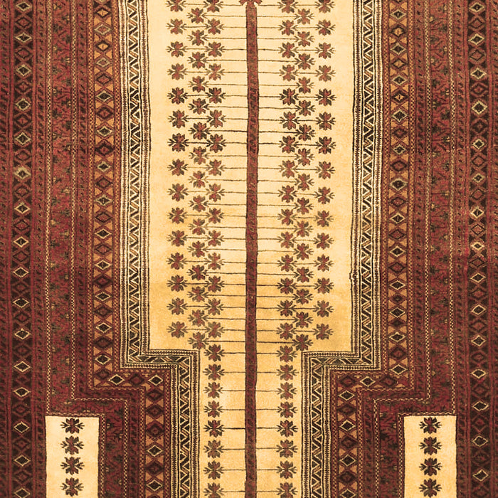 Persian Brown Traditional Rug, tr1764brn