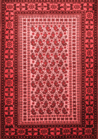 Persian Red Traditional Rug, tr1766red