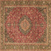 Square Persian Brown Traditional Rug, tr1779brn