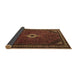 Sideview of Persian Brown Traditional Rug, tr1780brn