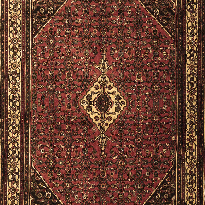 Persian Brown Traditional Rug, tr1780brn