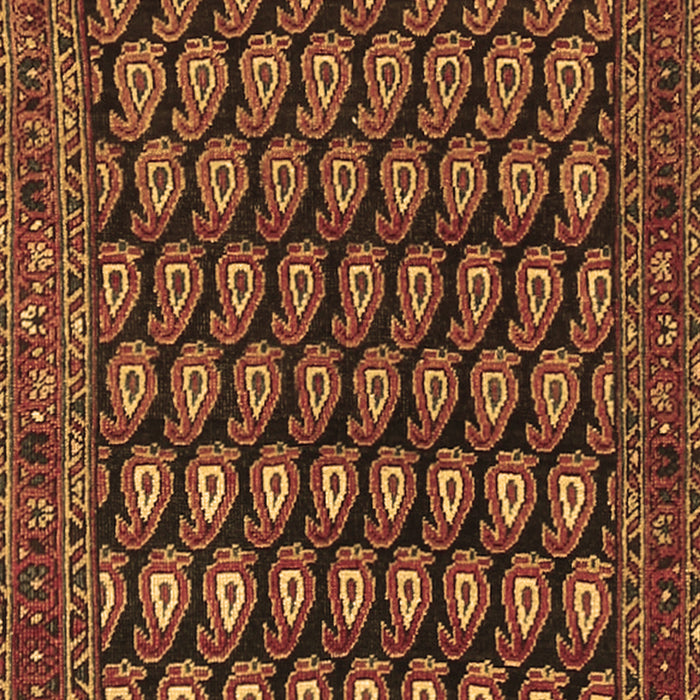 Machine Washable Persian Brown Traditional Rug, wshtr1786brn