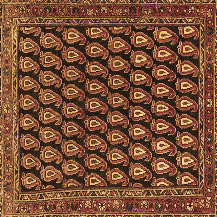 Square Persian Brown Traditional Rug, tr1786brn