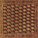 Square Persian Brown Traditional Rug, tr1786brn