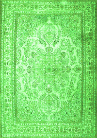 Persian Green Traditional Rug, tr1789grn