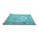 Sideview of Machine Washable Persian Light Blue Traditional Rug, wshtr1789lblu