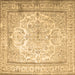 Square Persian Brown Traditional Rug, tr1789brn