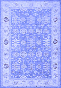 Persian Blue Traditional Rug, tr1793blu