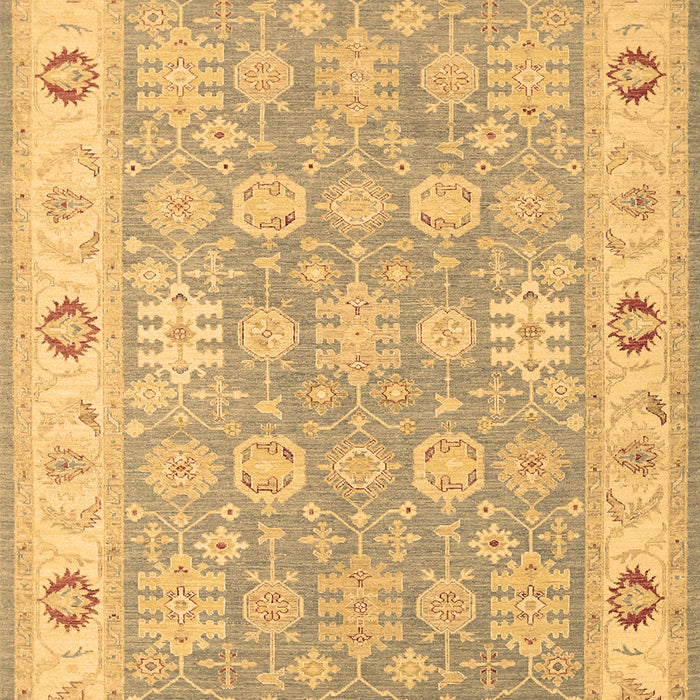 Machine Washable Persian Brown Traditional Rug, wshtr1793brn