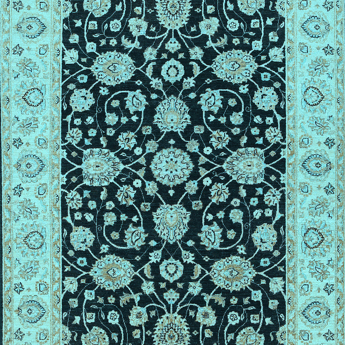 Oriental Light Blue Traditional Rug, tr1794lblu