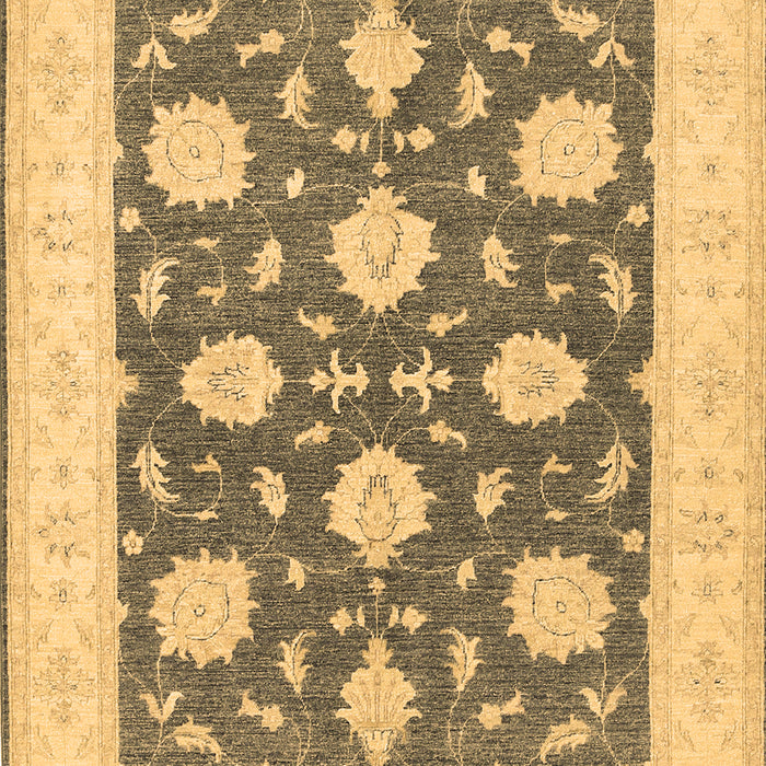 Oriental Brown Traditional Rug, tr1795brn