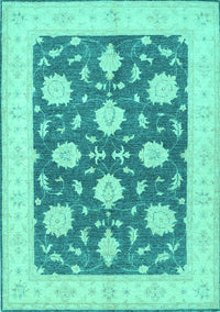 Oriental Turquoise Traditional Rug, tr1795turq