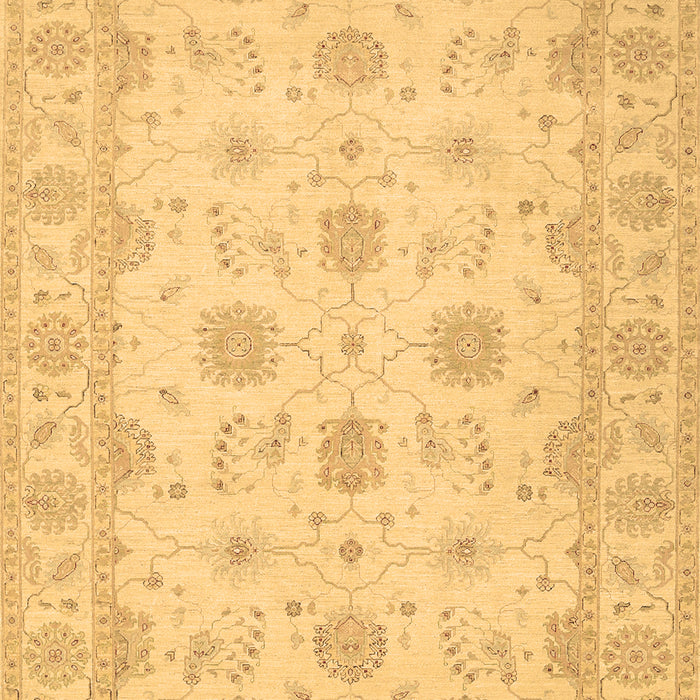 Oriental Brown Traditional Rug, tr1796brn