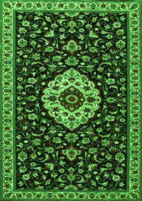 Medallion Green Traditional Rug, tr1797grn