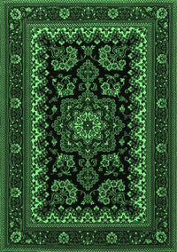 Persian Emerald Green Traditional Rug, tr1799emgrn