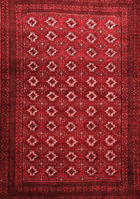 Persian Red Traditional Rug, tr1805red