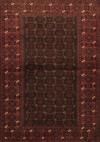 Persian Brown Traditional Rug, tr1817brn