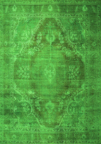 Persian Green Traditional Rug, tr1818grn