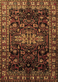 Persian Brown Traditional Rug, tr1824brn