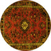 Round Persian Yellow Traditional Rug, tr1825yw