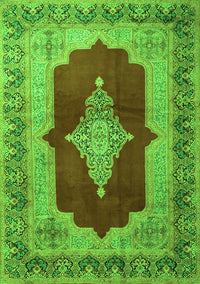 Medallion Green Traditional Rug, tr1826grn