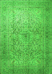 Persian Green Traditional Rug, tr1827grn