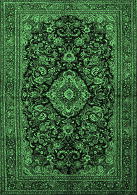 Medallion Emerald Green Traditional Rug, tr1828emgrn