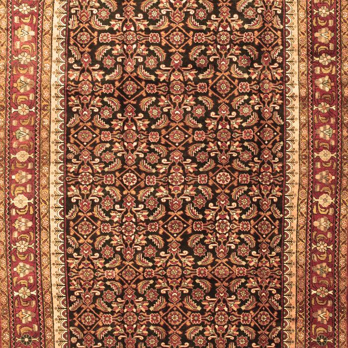 Machine Washable Persian Brown Traditional Rug, wshtr182brn