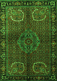 Persian Green Traditional Rug, tr1830grn