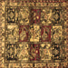 Square Persian Brown Traditional Rug, tr1832brn