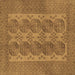 Square Persian Brown Traditional Rug, tr1833brn