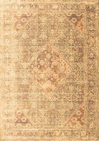 Persian Brown Traditional Rug, tr1835brn