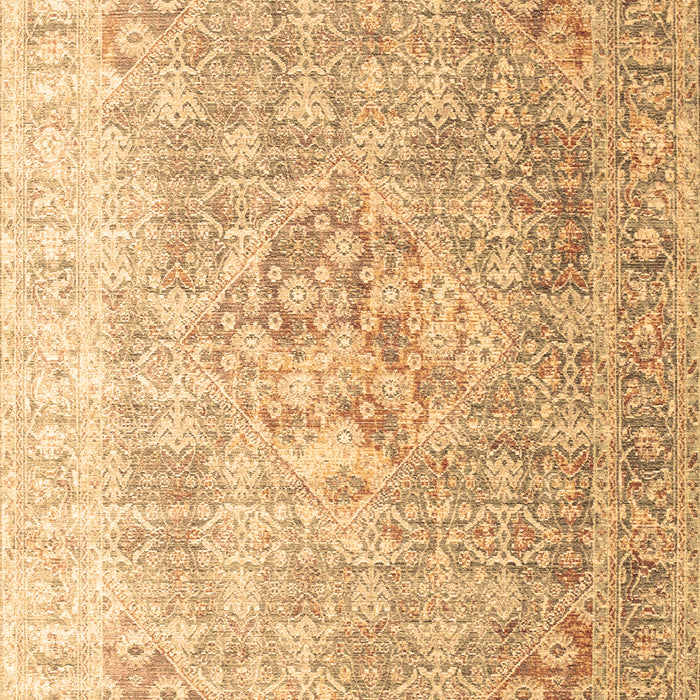 Persian Brown Traditional Rug, tr1835brn