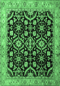 Persian Emerald Green Traditional Rug, tr1837emgrn