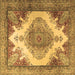 Square Persian Brown Traditional Rug, tr1842brn