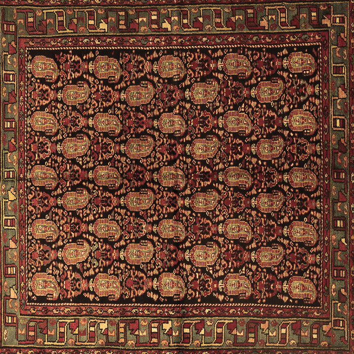 Square Machine Washable Persian Brown Traditional Rug, wshtr1846brn