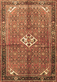 Persian Brown Traditional Rug, tr184brn