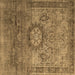 Square Persian Brown Traditional Rug, tr1850brn