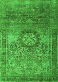 Persian Green Traditional Rug, tr1850grn