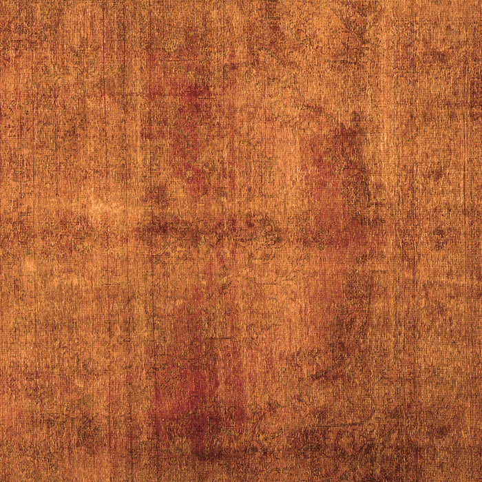 Serging Thickness of Machine Washable Persian Orange Traditional Area Rugs, wshtr1851org